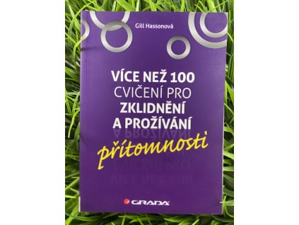 Více než 100 cvičení pro zklidnění a prožívání přítomnosti - Gill Hassonová