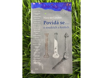Povídá se ... o soudcích a králích - Nico ter Linden