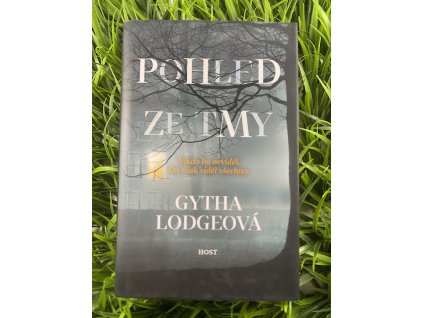 Pohled ze tmy - Gytha Lodgeová