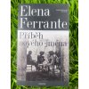 Příběh nového jména - Elena Ferrante
