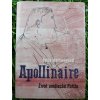 Apollinaire: Život umělecké Paříže - Julia Hartwig