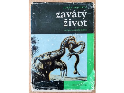 08 04 Zavátý život