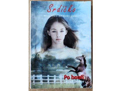 12 Srdíčko Po bouři