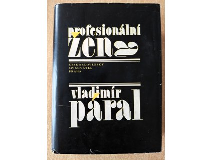 Profesionální žena