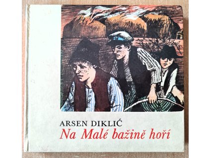 01 Na malé Bažině hoří