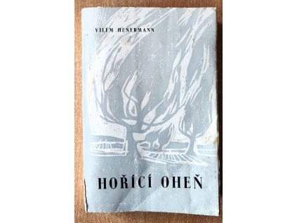 Hořící oheň