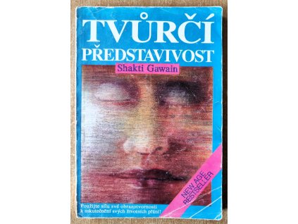 Tvůrčí představivost 2