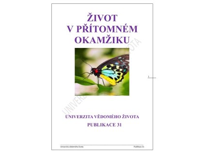 31 Život v přítomném okamžiku 1