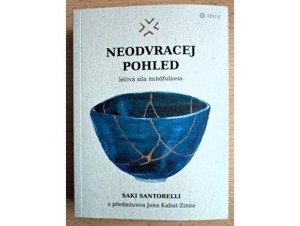 Neodvracej pohled