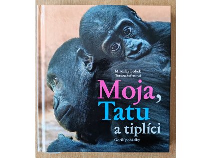 04 07 Moja, Tatu a tiplíci