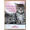 Průvodce životem kotěte