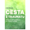Cestaz traumatu