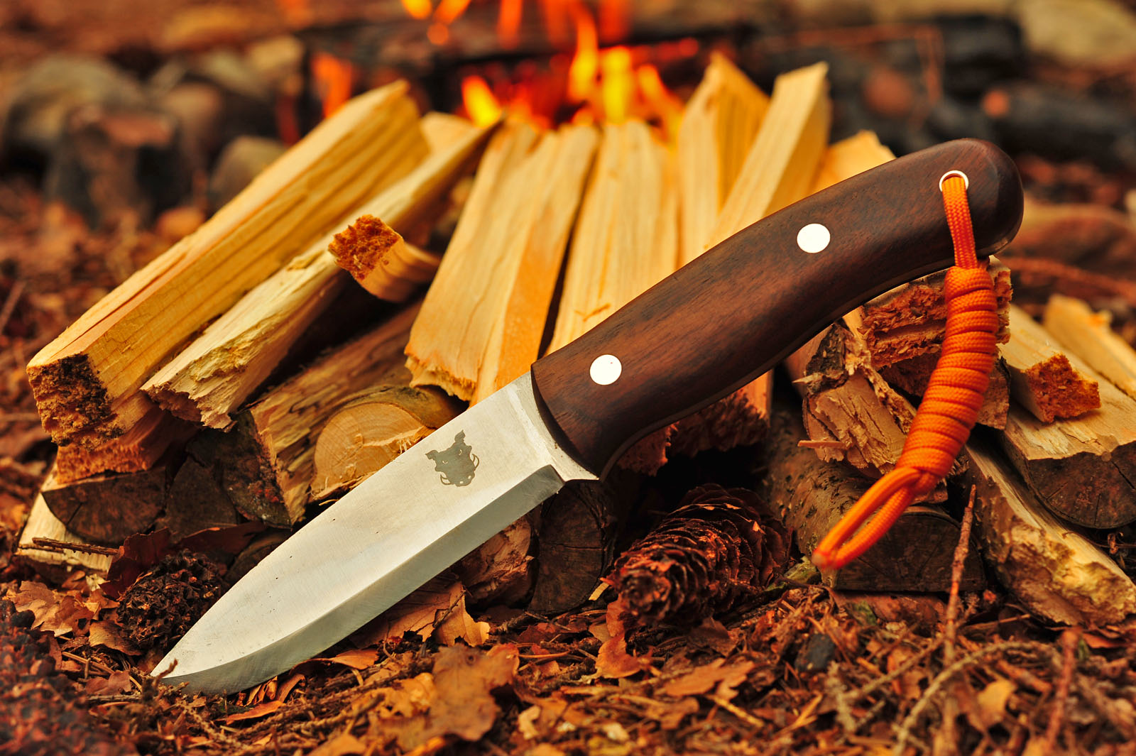 Jak na údržbu dřevěných rukojetí nožů?