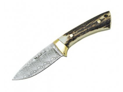 Nůž Muela Colibri Stag Damascus COL-7DAM