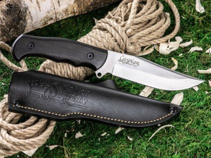 Nůž Kizlyar Supreme Caspian D2 LSW Carpinus