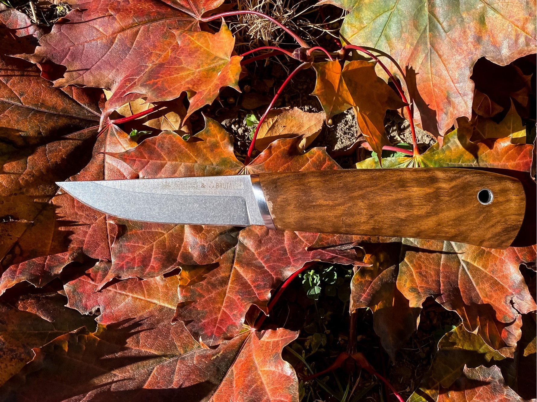 Kizlyar Supreme Samoyed N690 Walnut kés