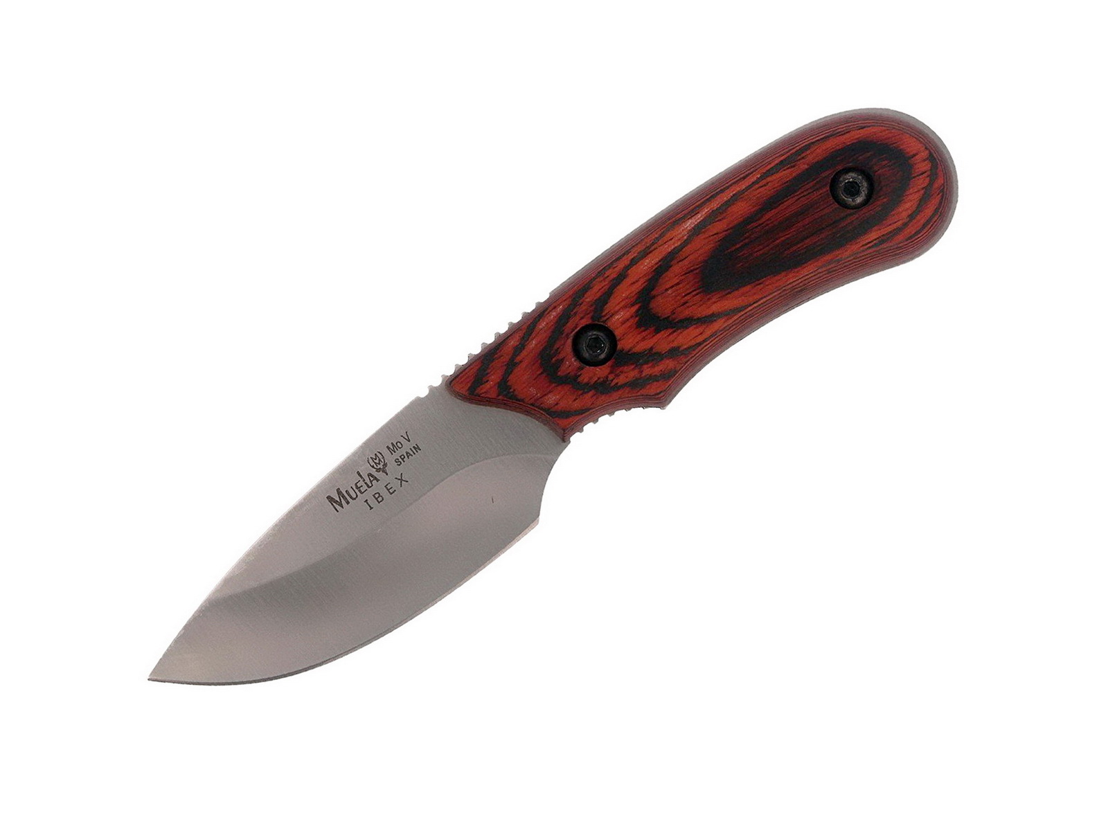 Muela Ibex-8.OL kés