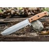 Kizlyar Supreme Survivalist X AUS-8 LSW Walnut kés