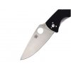 Spyderco Tenacious C122GP