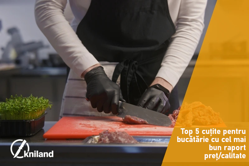 Top 5 cuțite pentru bucătărie cu cel mai bun raport preț/calitate