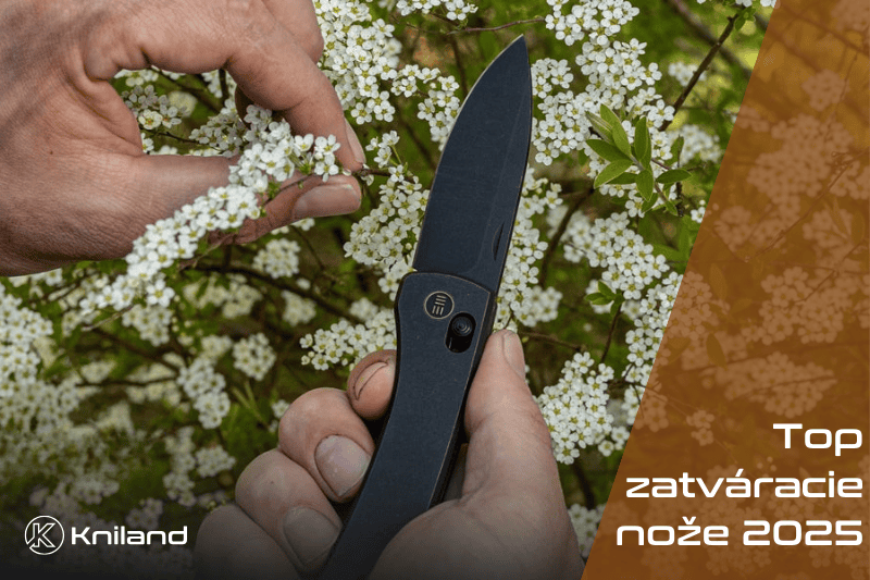 Cele mai bune cuțite pliabile ale anului 2025