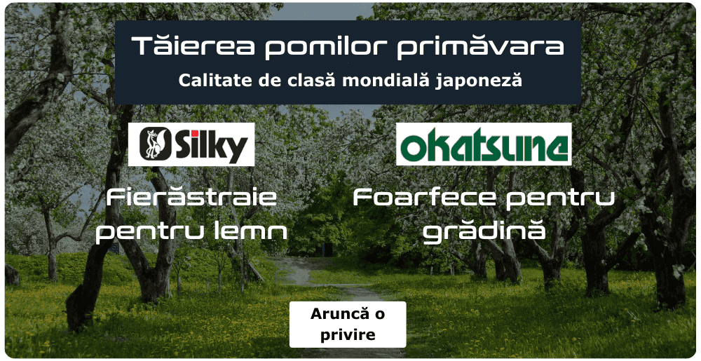 Pietre de ascuțit Naniwa