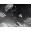 21135 6 boker 02bo078 boker bad moon karambit 7
