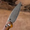 22536 2 noz bestechman ronan bmk02l damascus