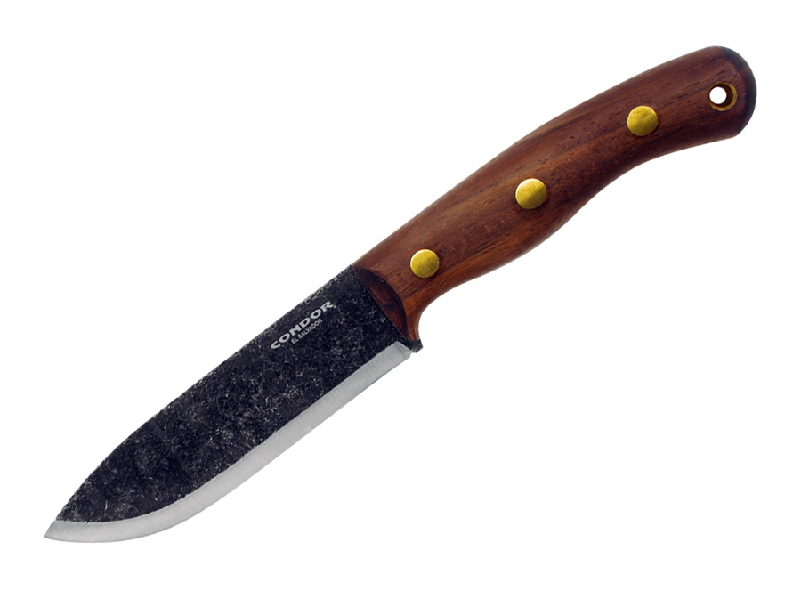 Condor Bisonte