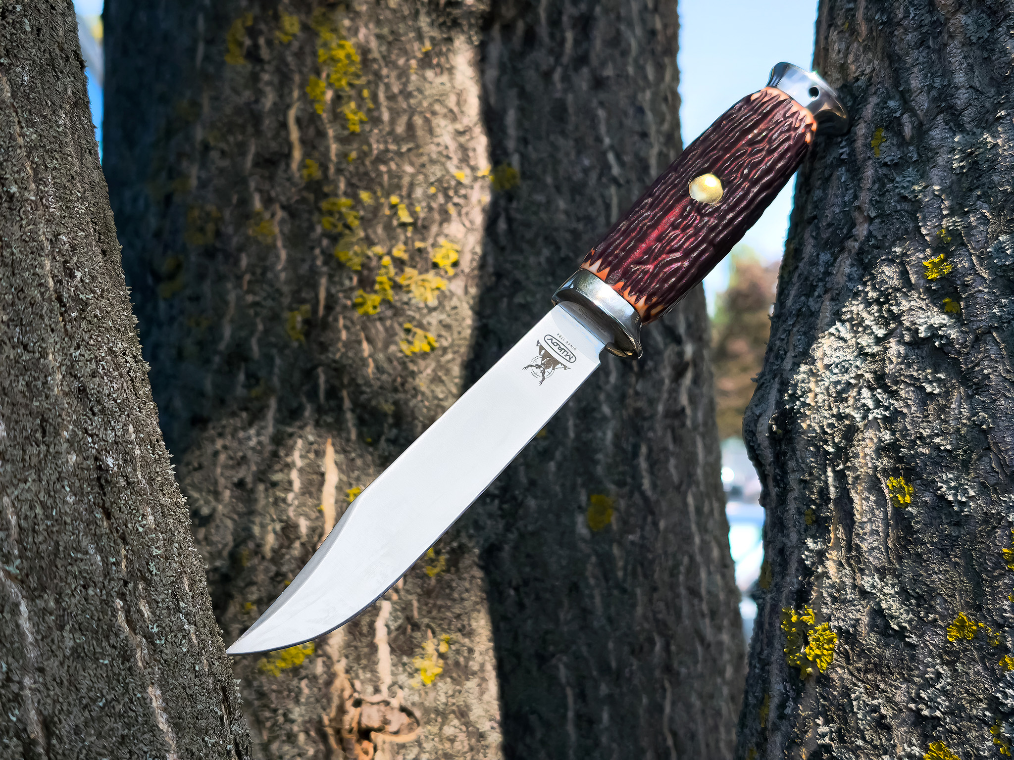 Mikov lovecký - Venado 376-NH-6