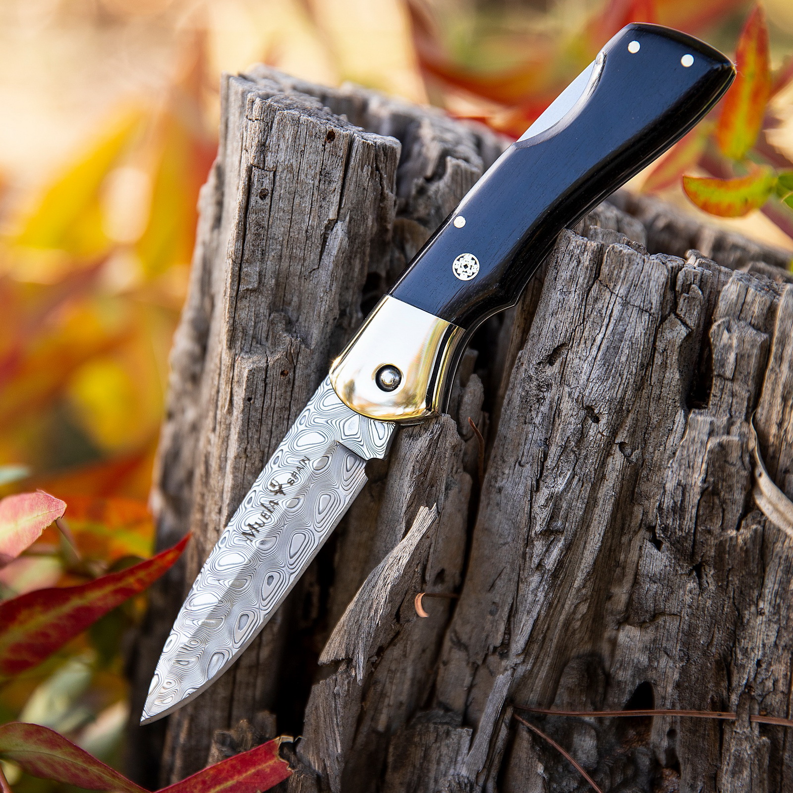 Muela Damascus BX-8DAM