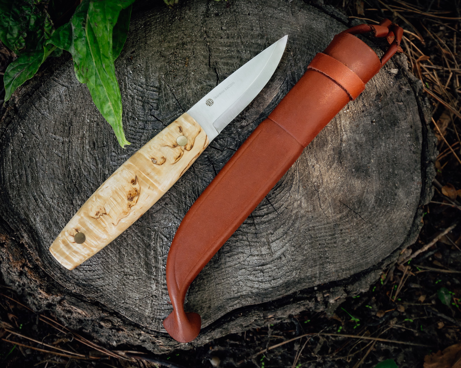 NKD - Nordic Knife Design Nôž NKD Korpi 85 Curly birch 14C28N