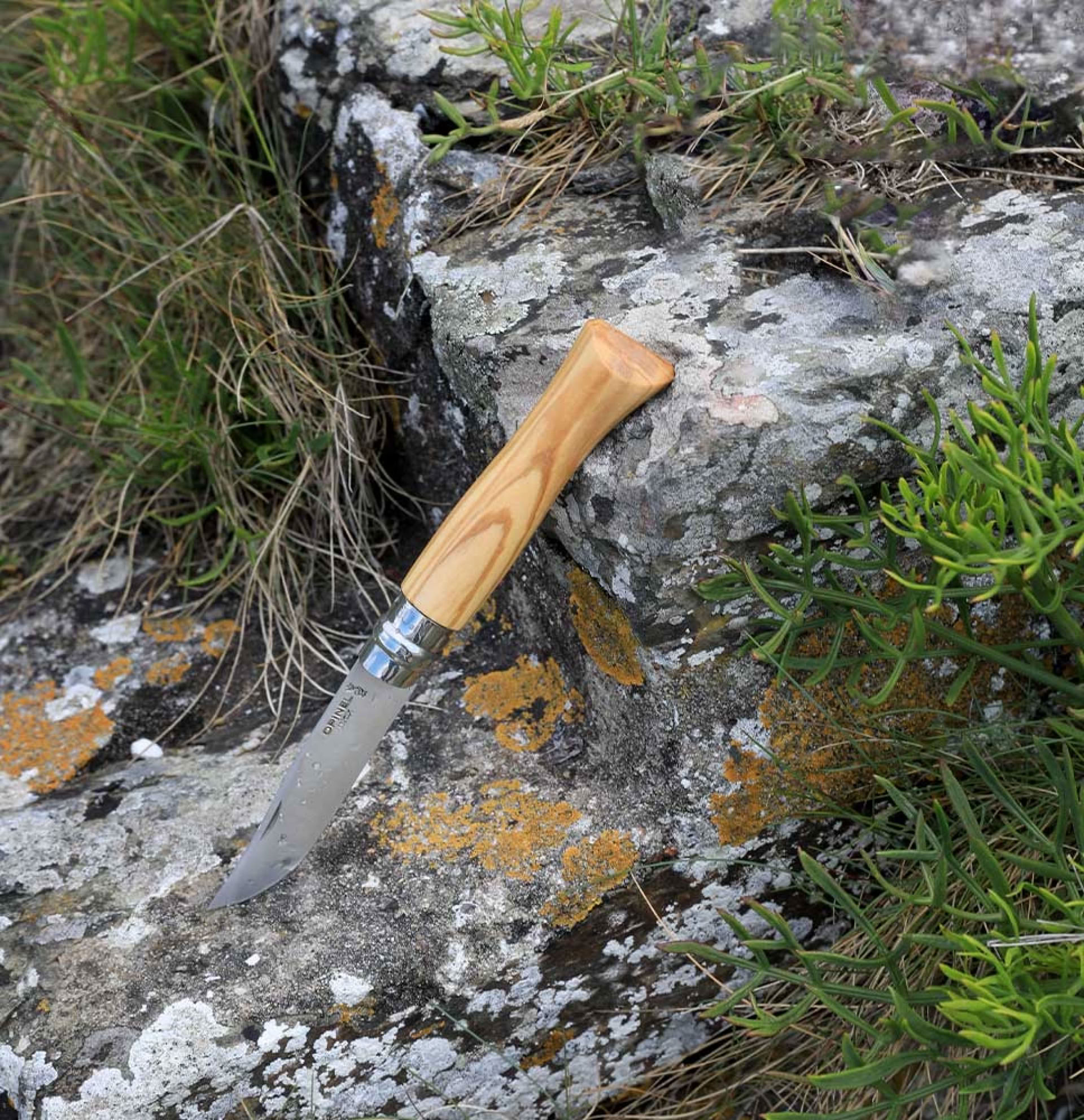 Opinel No. 9 Olive Wood