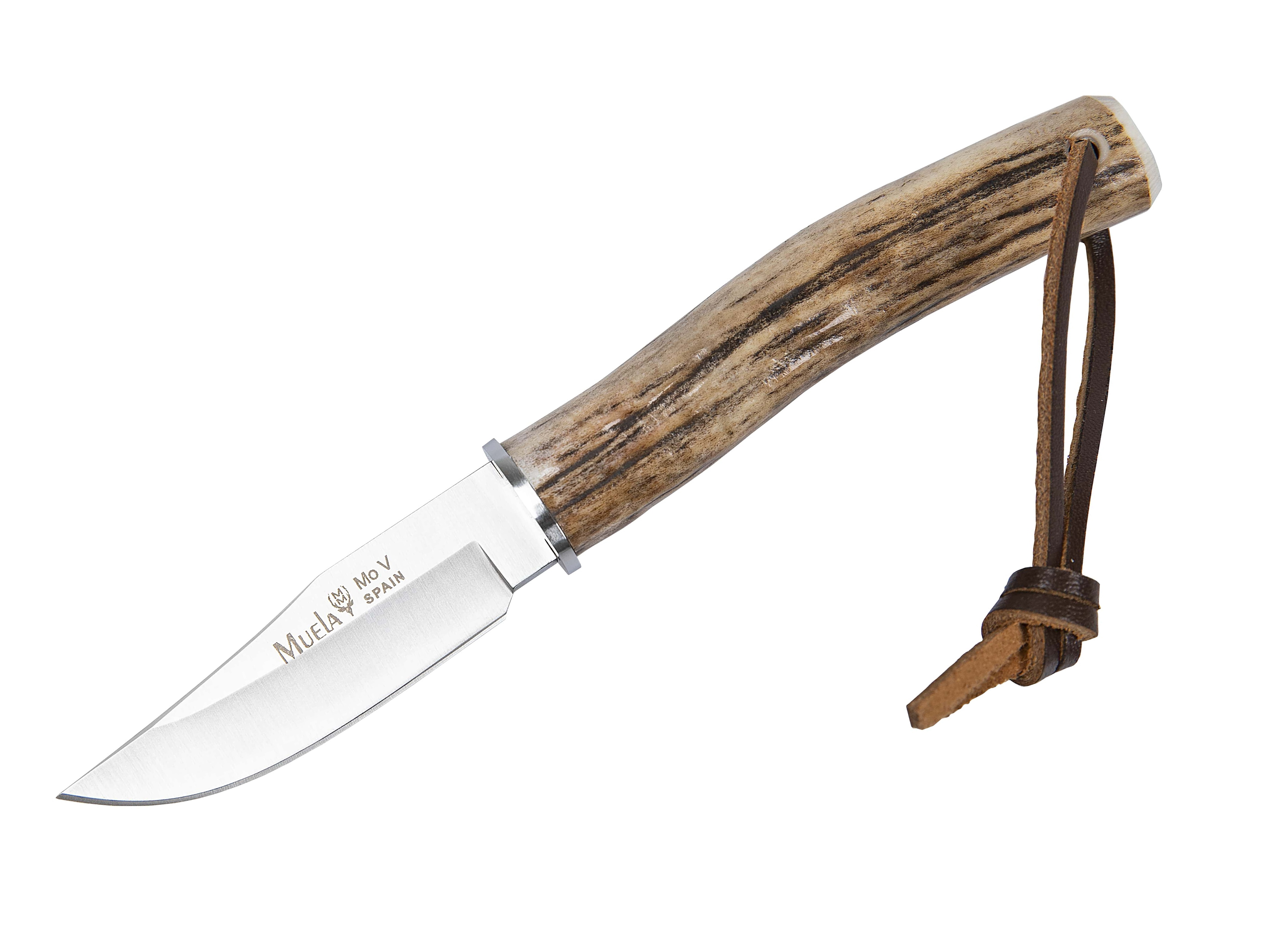 Muela BW-6A Bowie Stag