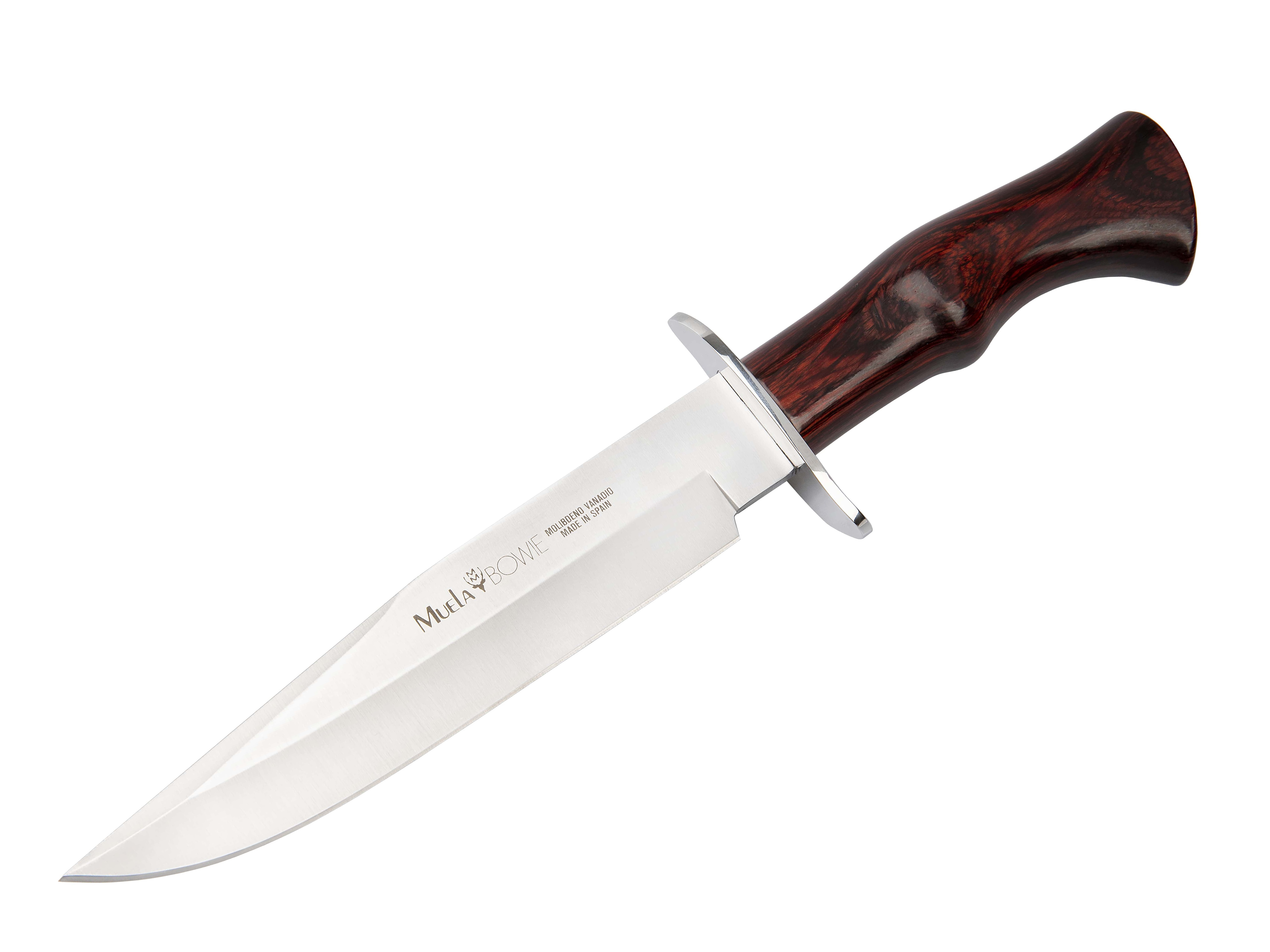 Muela BW-18LR Bowie