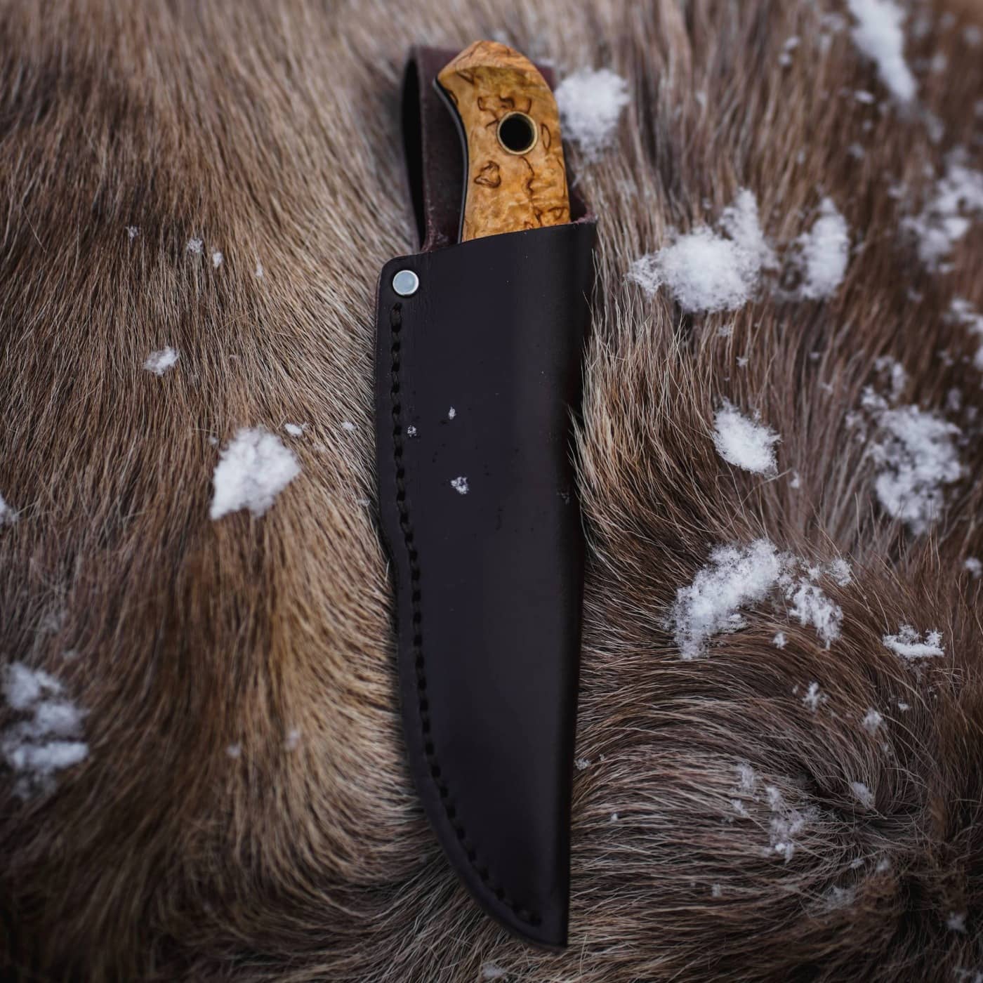 Helle Polaris