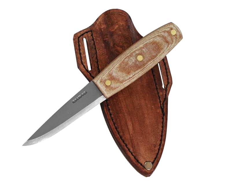 Condor Primitive Mountain