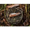 CJRB Feldspar J1912 BNC (4)