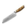 Dellinger Longevity Damascus Edition Santoku kuchynský nôž 18 cm