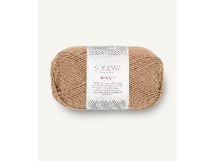 11122542 Camel 300dpi Noste