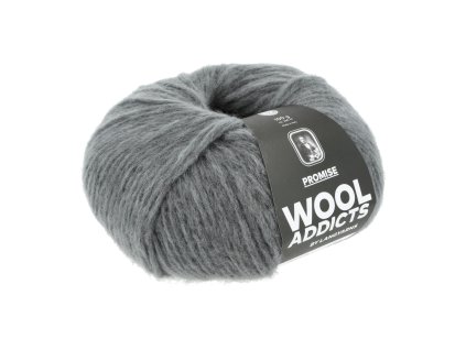 1162 0034 LANGYARNS Promise