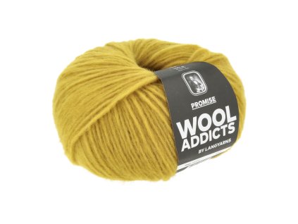 1162 0050 LANGYARNS Promise