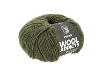 1162 0217 LANGYARNS Promise