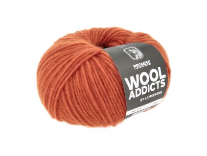 1162 0059 LANGYARNS Promise