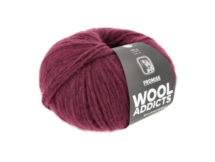 1162 0062 LANGYARNS Promise