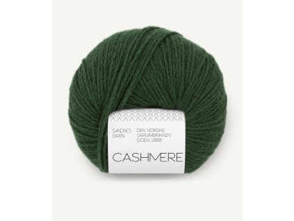 11648082 Forest green 300dpi noste