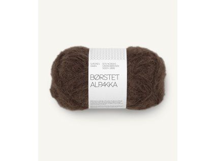11903082 Mork brun 300dpi Noste
