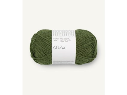 21049072 Mork gronnmelert 300dpi Noste