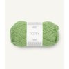11988733 Spring green 300dpi Noste