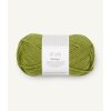 21149564 Matcha 300dpi noste